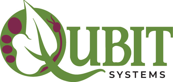 Qubit Systems Inc.
